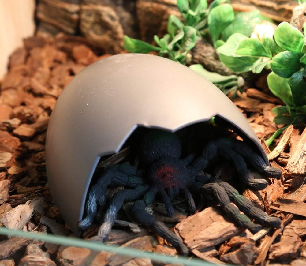 Abu I Pet Eggshell Plastic Hiding Cave Reptile Box Shelter Hole House Landscape with Two Type Option (L)