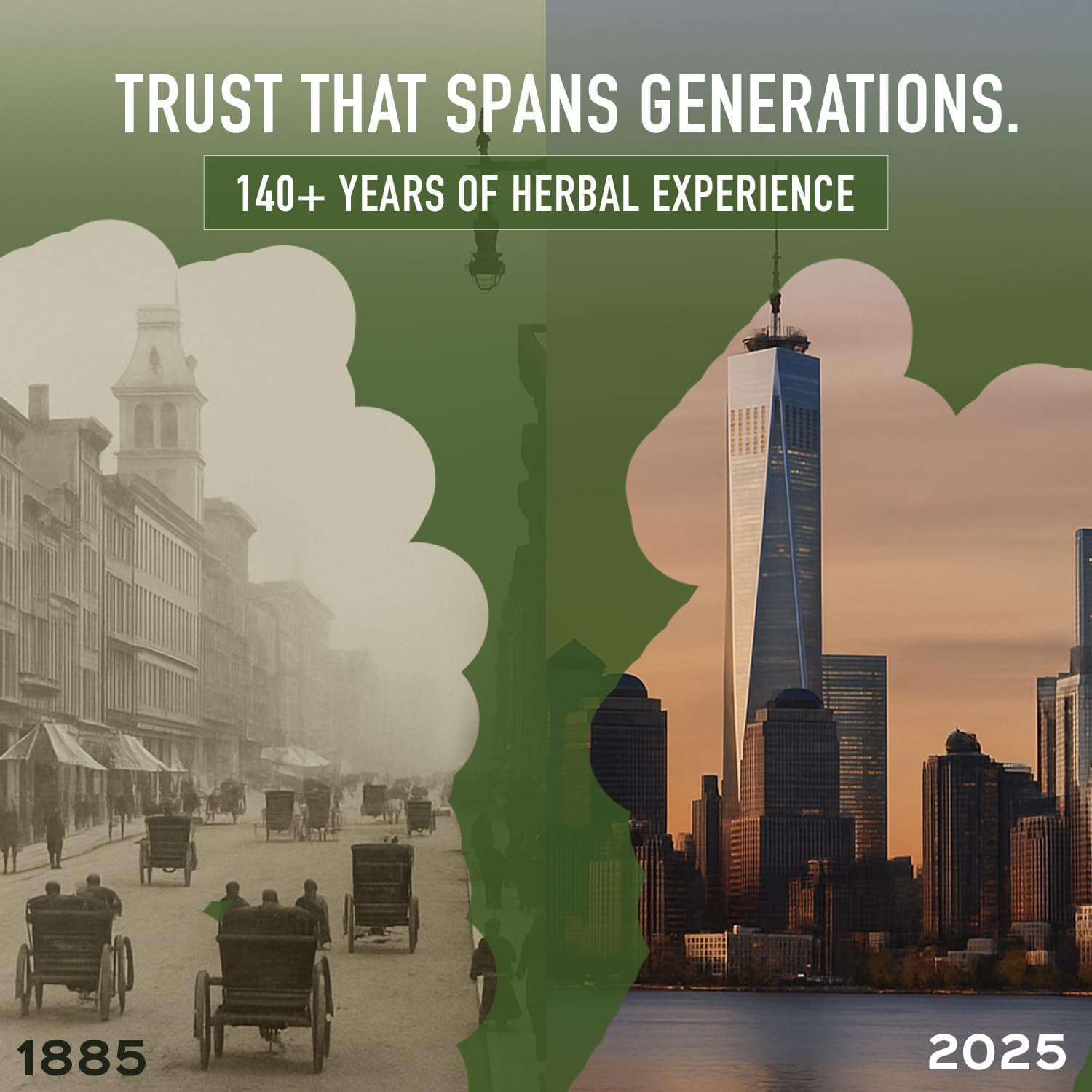 Bixa BOTANICAL Psyllium Husk Powder(Plantago Ovata) Daily Laxative Fibre, Natural Dietary Supplement, Maintains Gut(Intestinal) Motility & Eliminate Toxic Waste. Natural Safe Laxative with Fibres 200G image number 2