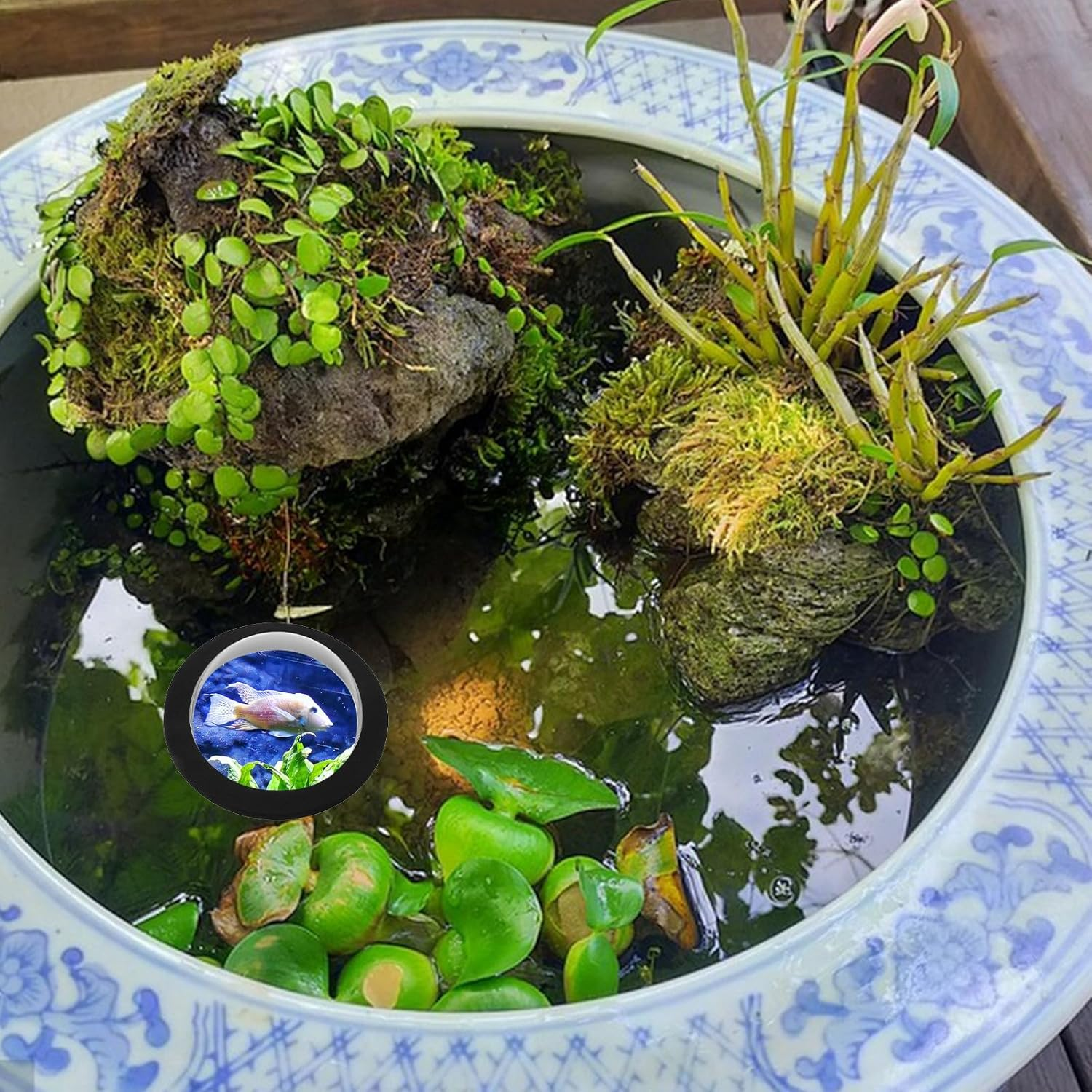 DECHOUS Floating Small Fish Dome Cover for Outdoor Garden Pond 15Cm Lightweight Acrylic Floating Aquarium Dome Black Base and Lid for Aquatic Pets image number 1