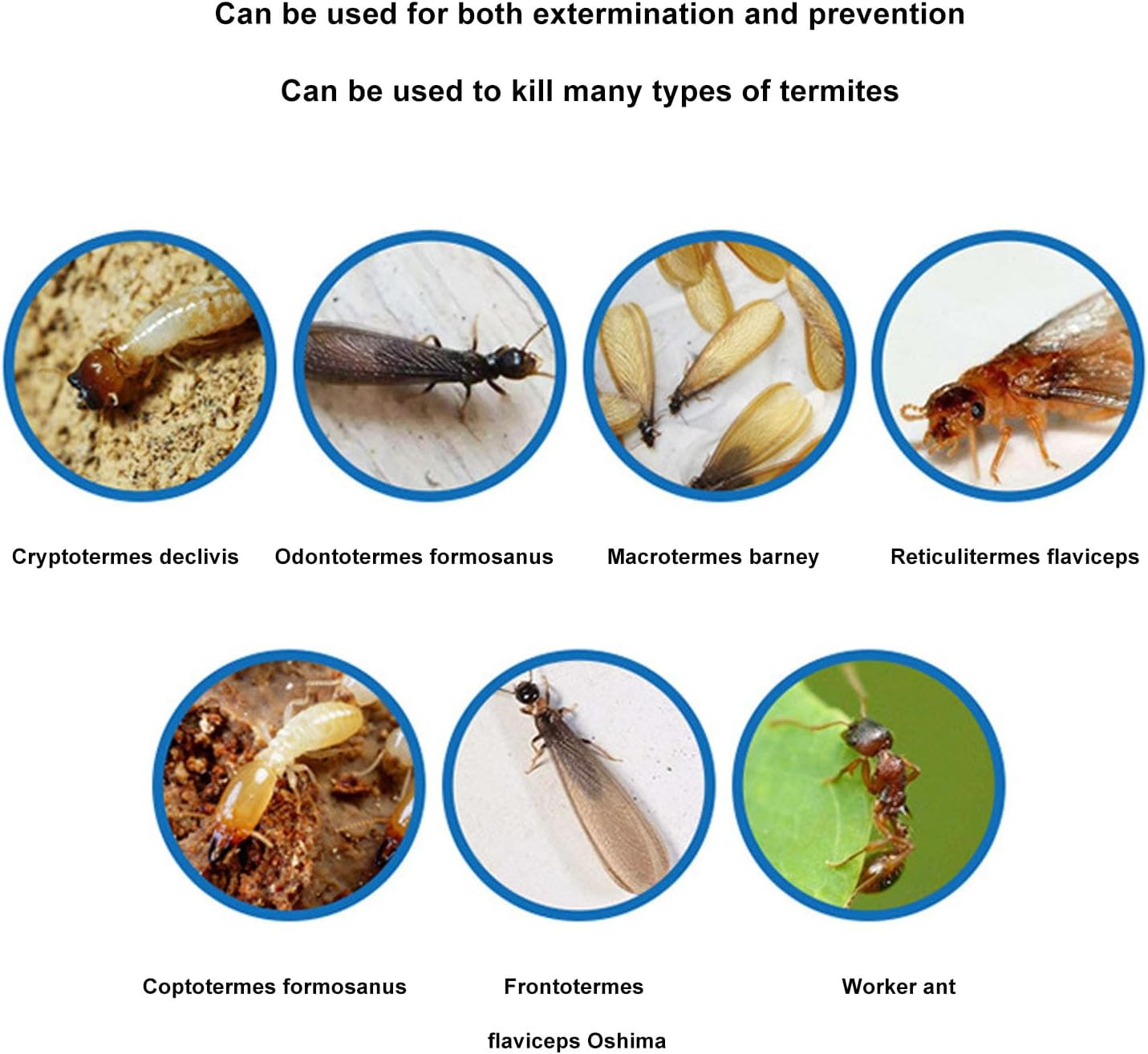 Termite Prevention and Family Health Sprayer, Even Spraying Wide Coverage Compact Design for Simple (5L) image number 3