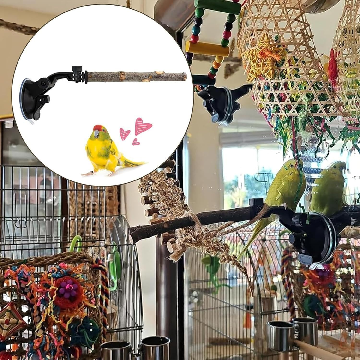 Suction Cup Bird Perch | Adjustable Stand Toy for Training,Wood Window Suction Cup Bird Perch Toy | for Balcony Apartment Patio Porch Tree Shower Wall Mirror image number 1