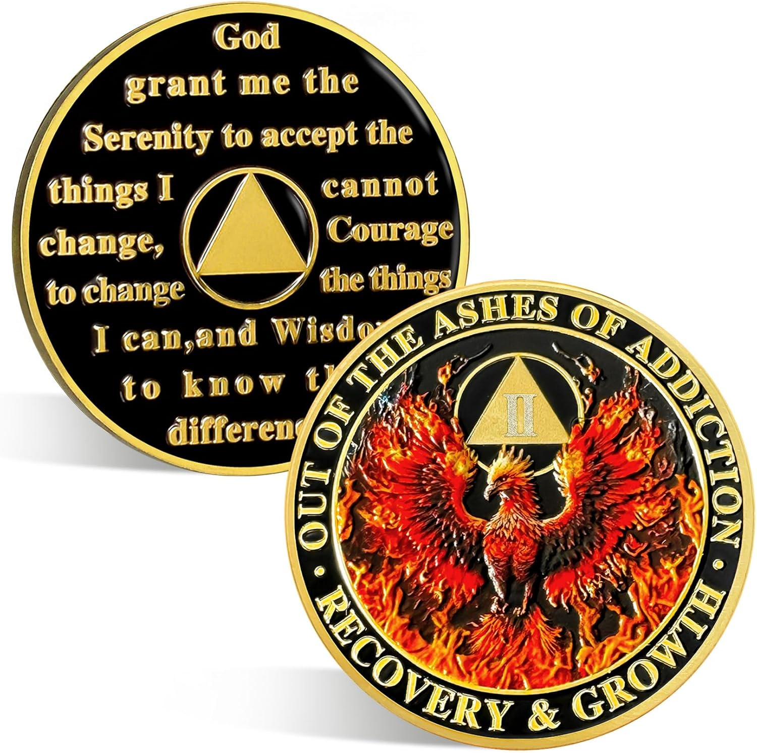 ACGZQY 2 Year Phoenix Sobriety Chip - Alcoholics Anonymous Recovery Gift for Men Women image number 6