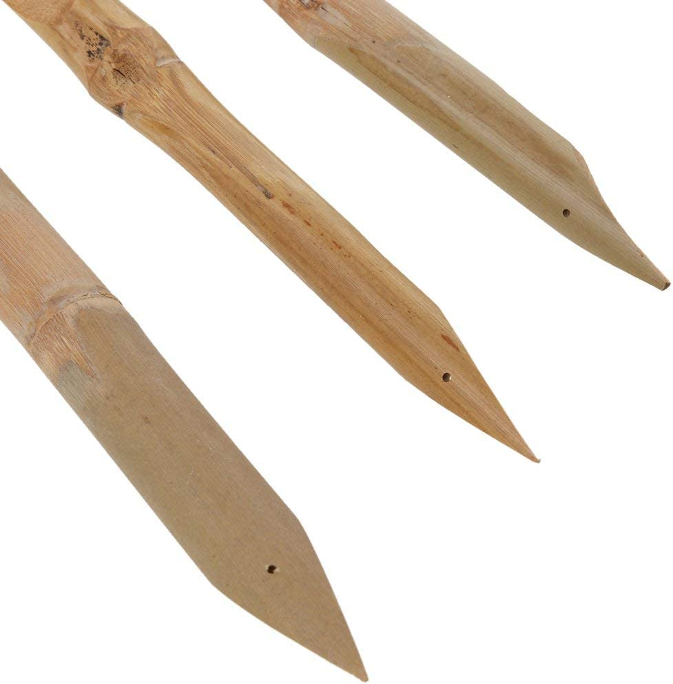 Hard Strong Bamboo Reed Pens Pottery Ceramic Shaping Tools Polymer Clay Tool