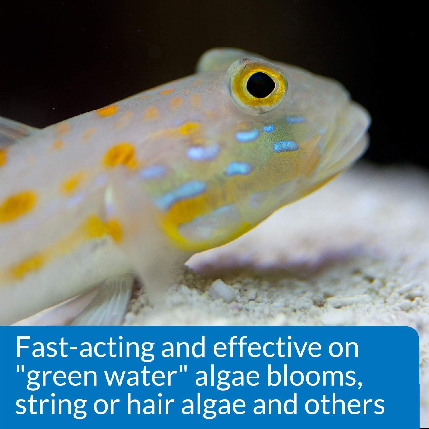 API Marine Algaefix, 473 Ml - Aquarium Treatment, 16 Fl Oz (Pack Of 1) image number 2