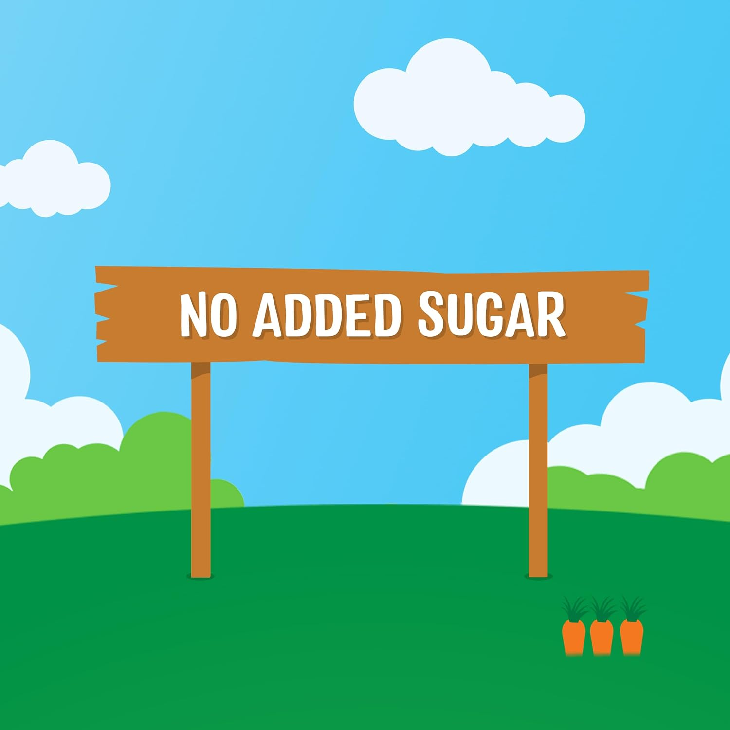 Rafferty'S Garden Coconut Berry No Added Sugar Little Smoothies for 1-3 Year Old Toddlers 120 G (Case of 6)