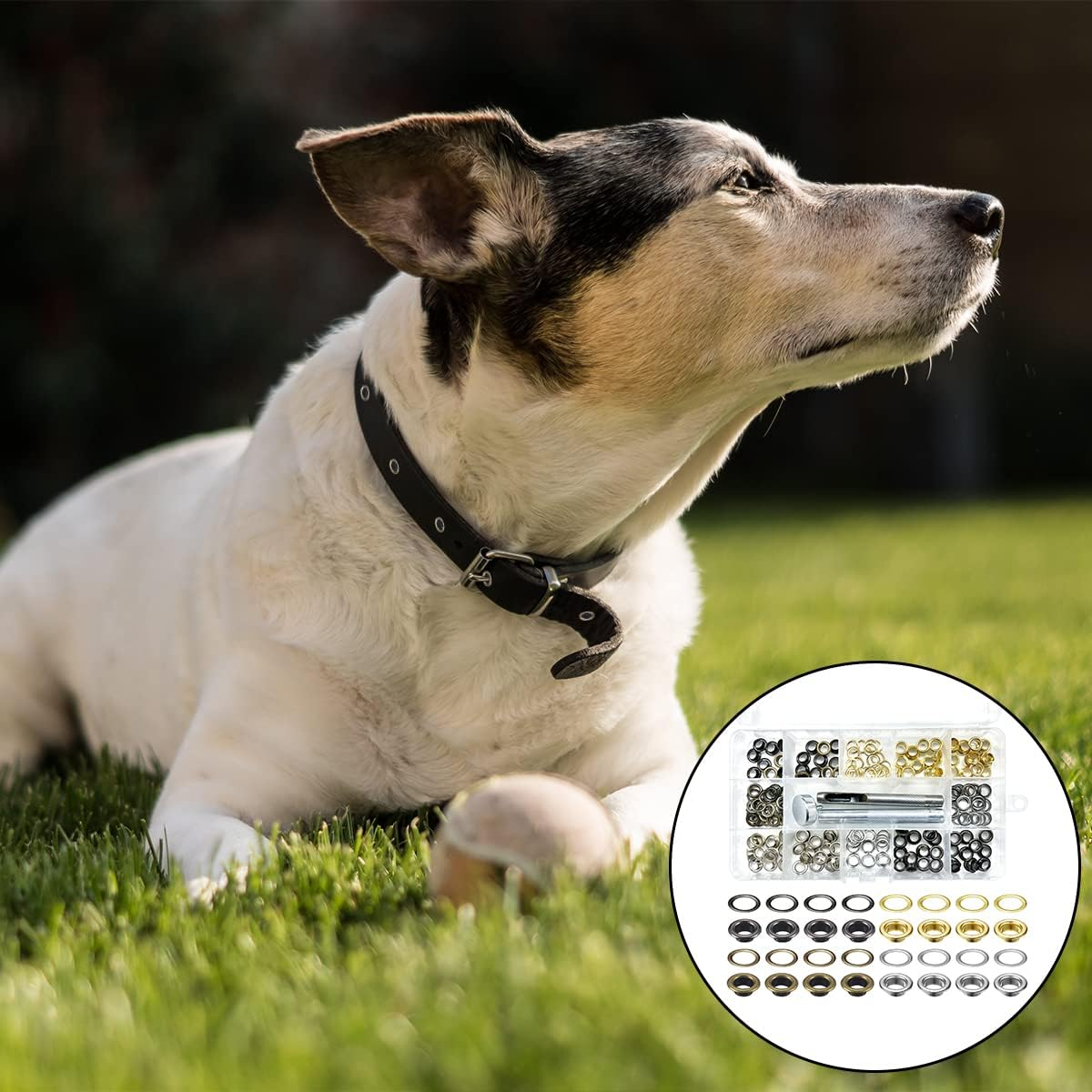 BEZANU Grommet Tool Kit, 100Set Metal Grommet Eyelets with 3Pcs Install Tool for Shoes, Fabric, Canvas, Clothing, Leather (4 Color, 1/4Inch) image number 4