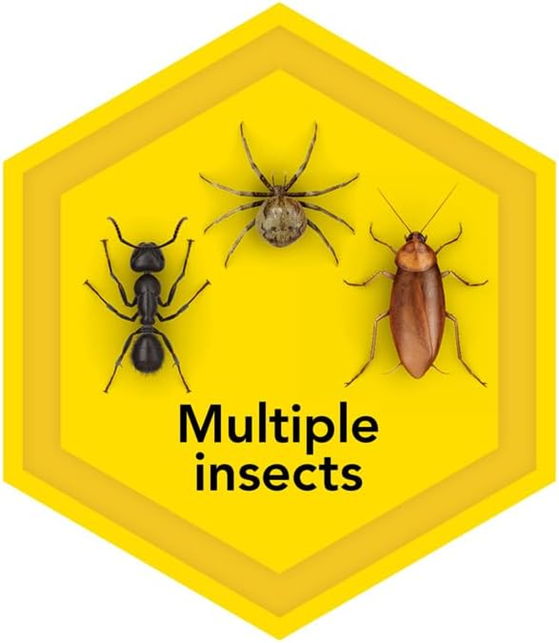 Raid One Shot Multi Purpose Insect Killer Citrus 375G for Flies, Mosquitoes, Moths, Cockroaches, Ants, Spiders and Silverfish image number 2