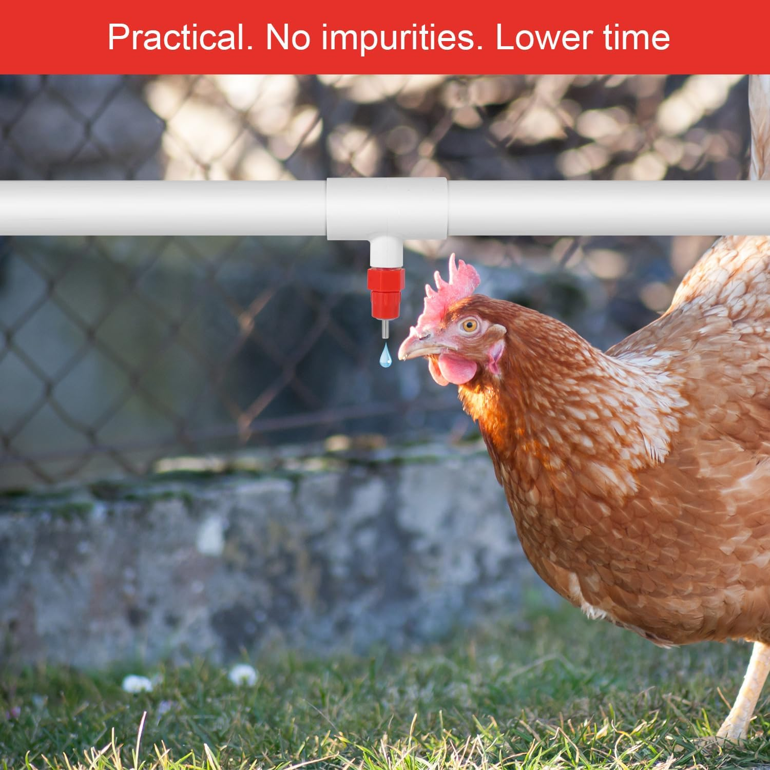 10Pcs Chicken Waterer Nipples, Automatic Chicken Waterer Nipples Poultry Water Nipples Horizontal Chicken Water Nipples Practical Accessories image number 5