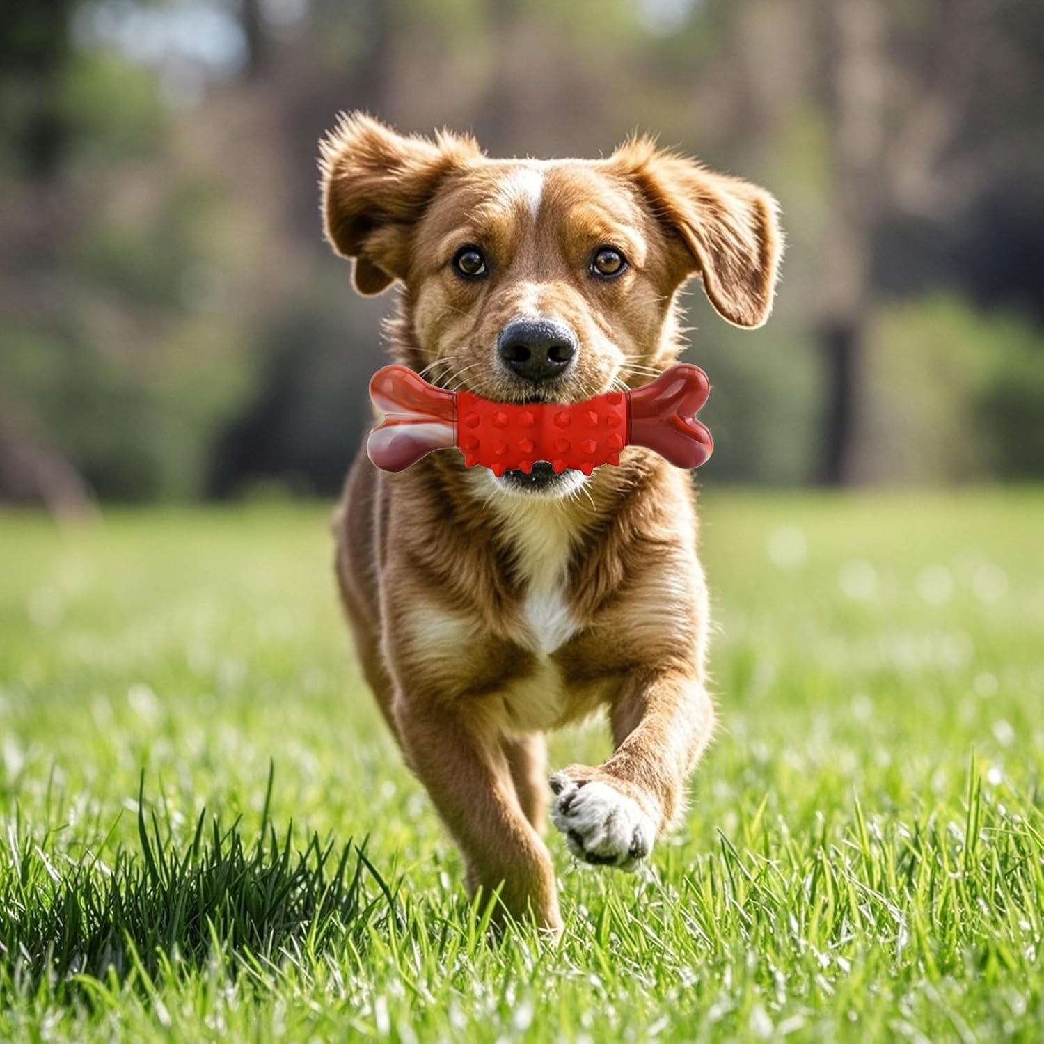 LIFLIX Dog Toys for Aggressive Chewers, Tough Indestructible Chew Toys, Durable Rubber & Nylon Toys for Large Medium Breed, Interactive Dog Toy for Teething, Bone Shape image number 5