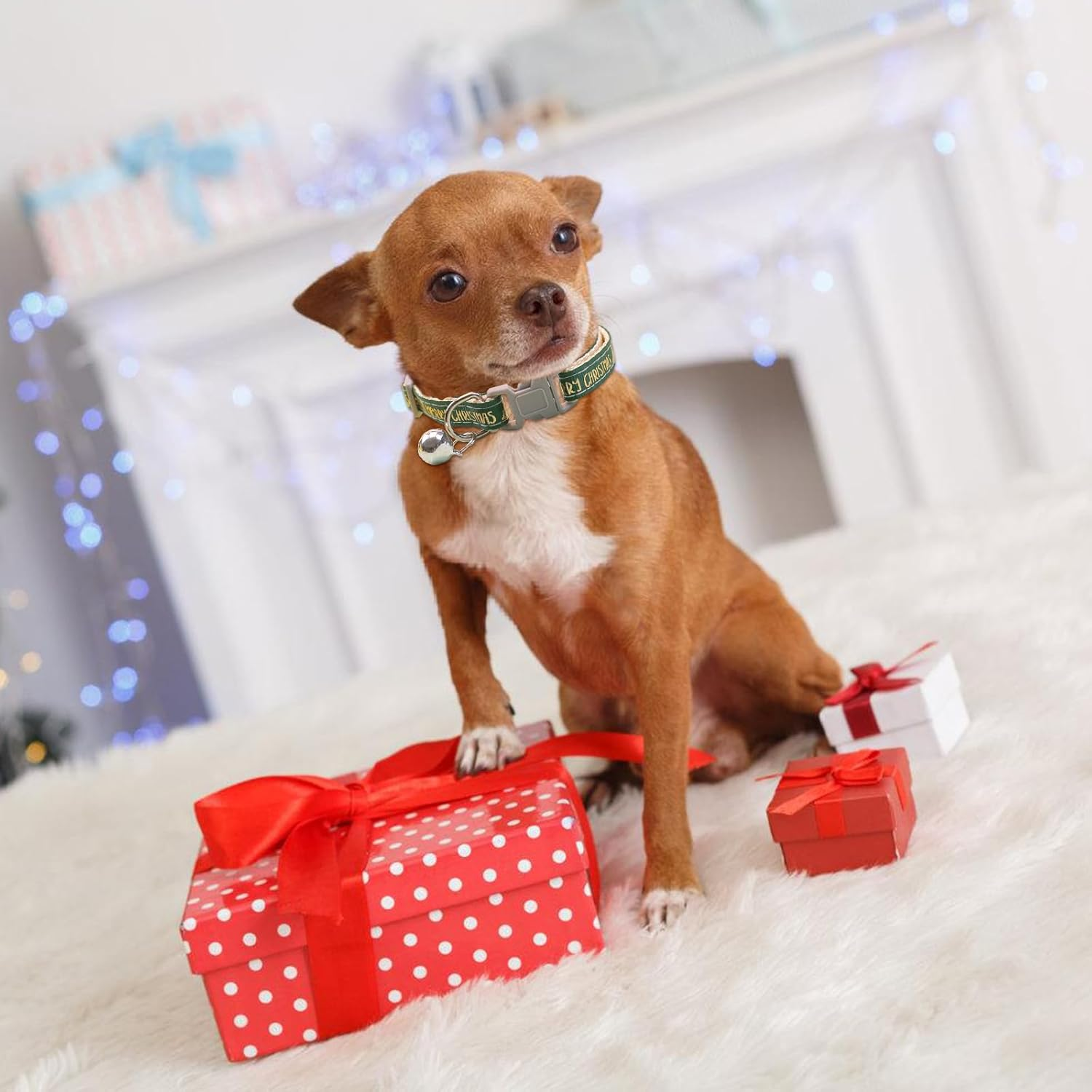 2 Pcs Christmas Dog Collar with a Bell, Red Green Christmas Adjustable Pet Collar 19-32Cm, Comfortable Cotton Durable Breakaway Dog Collar for Small Medium Dogs, Christmas Dog Gift (Gold Print) image number 1