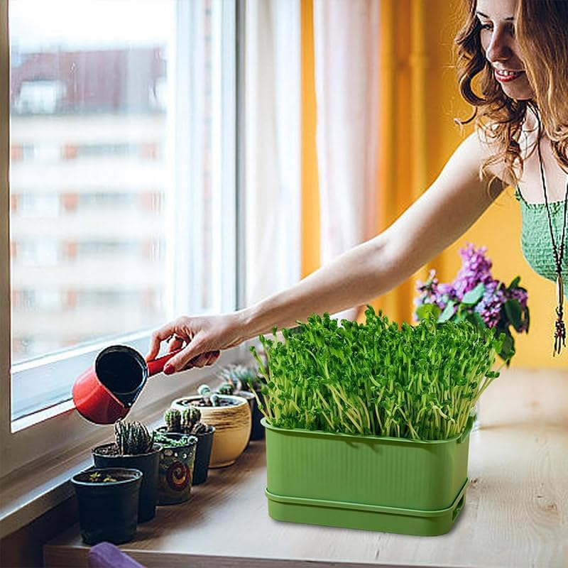 AIMALL Soilless Hydroponic Seedling Tray &ndash; Self-Watering Sprout Tray for Indoor Herb & Vegetable Planting, Double-Layer Design with Visible Water Reservoir - Green image number 5