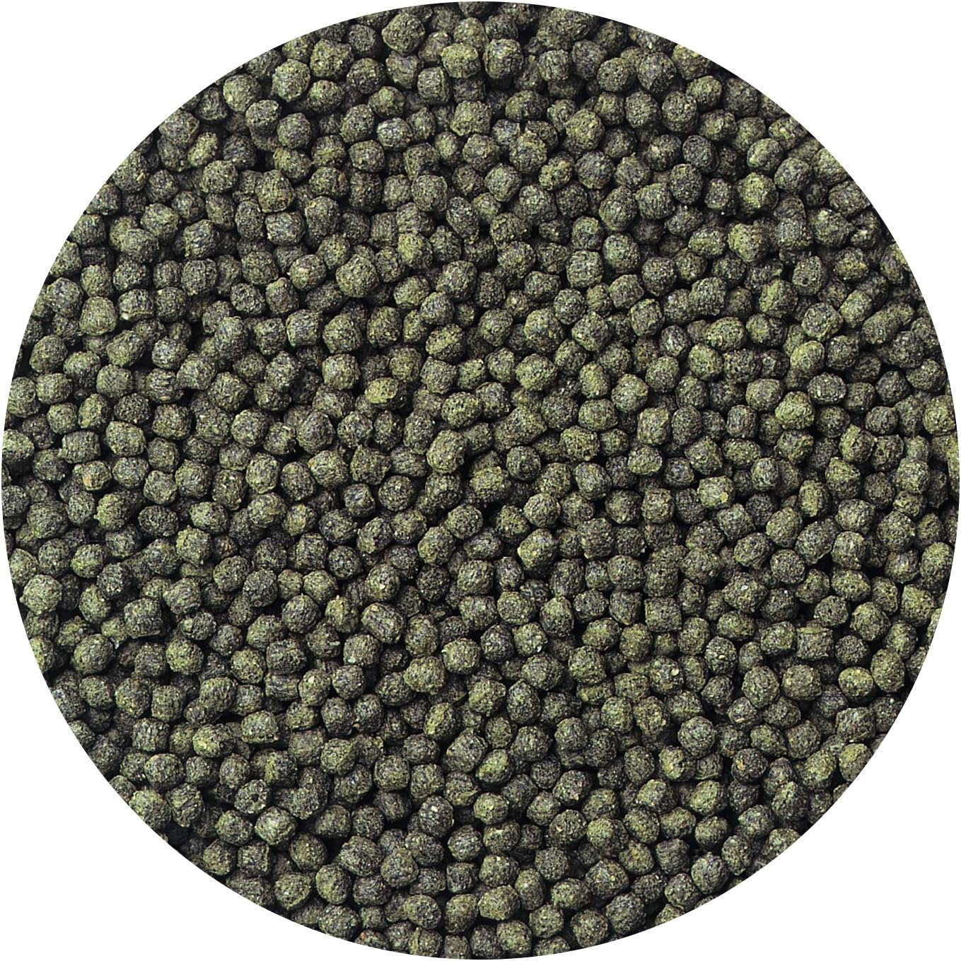 Hikari 8.8-Ounce Cichlid Excel Floating Pellets for Pets, Mini image number 5