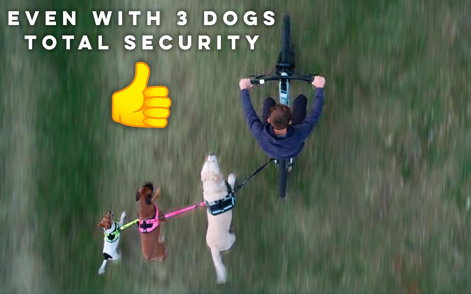 Dog Bike Leash, Hands Free Dog Leashes. Dog Bicycle Lead for Small, Medium and Large Dogs, Designed to Lead One or More Dogs with Maximum Safety, Easy Assembly without Tools. Patented Product. - Yellow image number 2