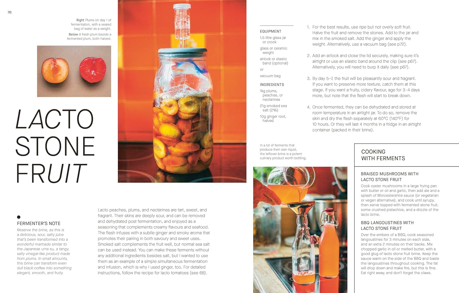 The Fermentation Kitchen: Recipes and Techniques for Kimchi, Kombucha, Koji and More image number 5