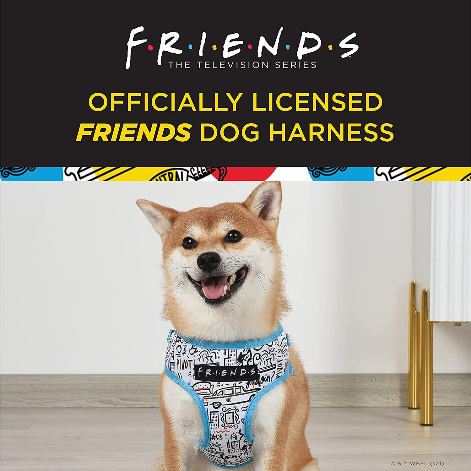 Friends TV Show City Doodle Dog Harness for Medium Dogs, Medium (M) | Blue Medium Dog Harness, No Pull Dog Harness with D-Ring | Machine Washable Friends Merch for Dogs from Friends TV Show