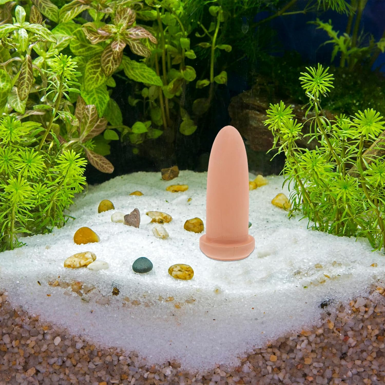 COHEALI Fish Breeding Bucket Medium Shrimp Breed Cone for Spawning Angelfish and Fish Aquatic Pets Smooth Surface Increases Egg Grasp Rate Design image number 1