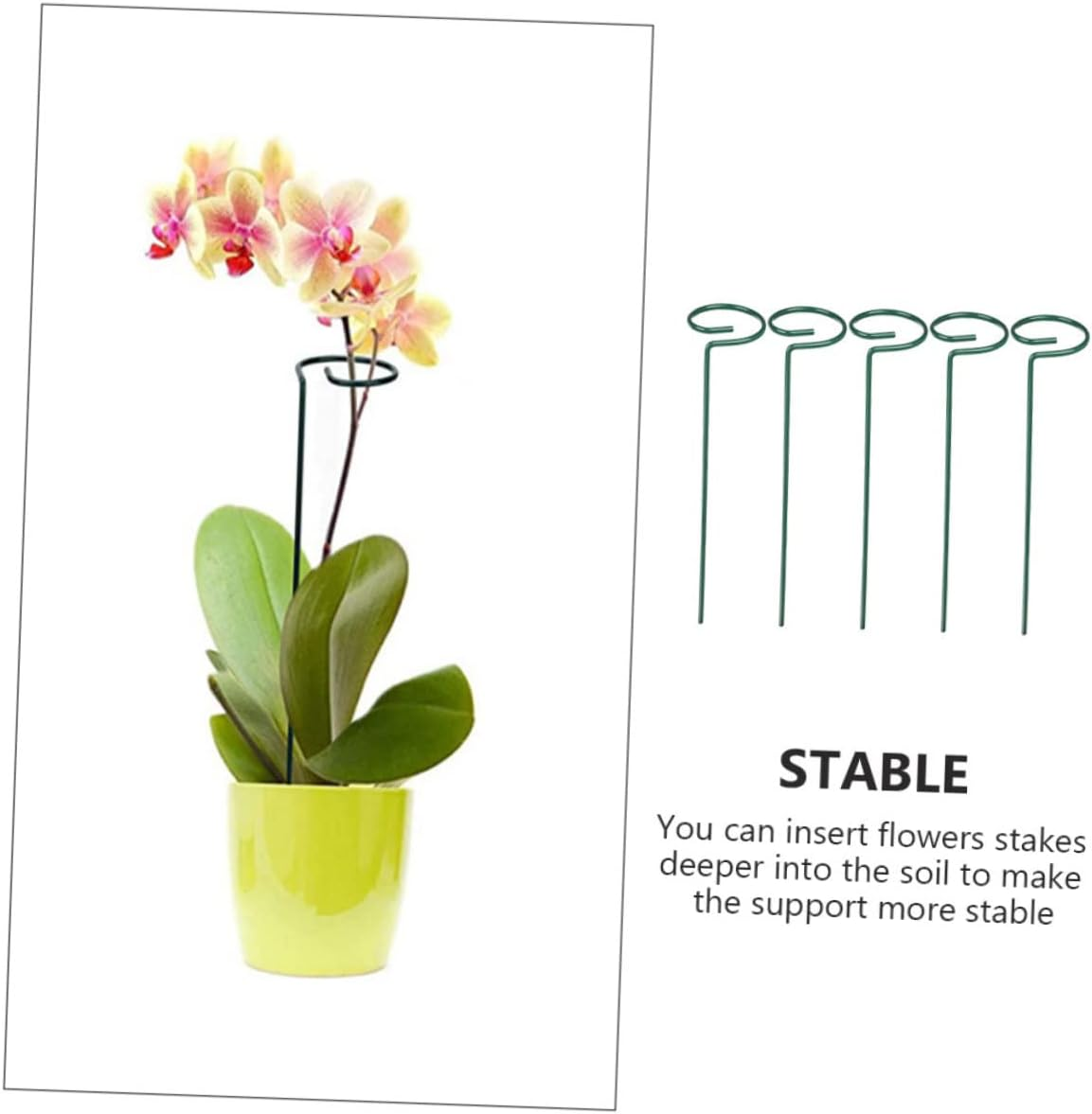 5Pcs Garden Plant Support Stakes Single Stem Support for Hydrangea Plant Stands Height for Orchids and Flower Growth Stabilization image number 6