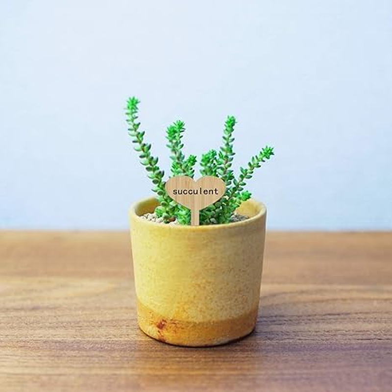 20Pcs Bamboo Plant Labels with a Marker Pen T-Type Wooden Plant Marker Garden Sign Tags Garden Markers for Seed Potted Herbs Flowers Vegetables (Heart-Shaped) image number 3