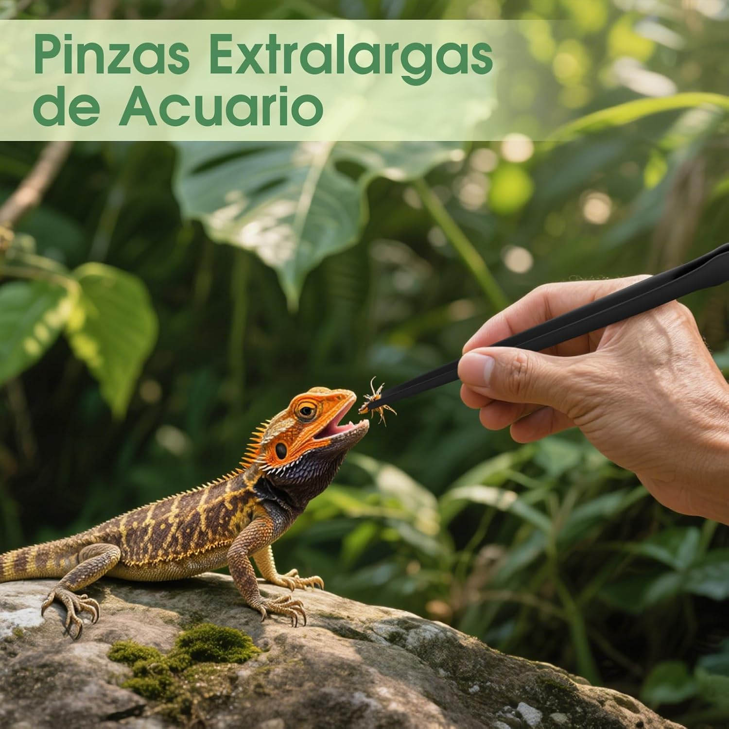 38Cm Extra-Long Aquarium Tweezers, Set of Straight and Curved Stainless Steel Tweezers, Extra-Long Aquarium Tweezers, Aquascaping and Fish Tank Feeding Tools image number 4