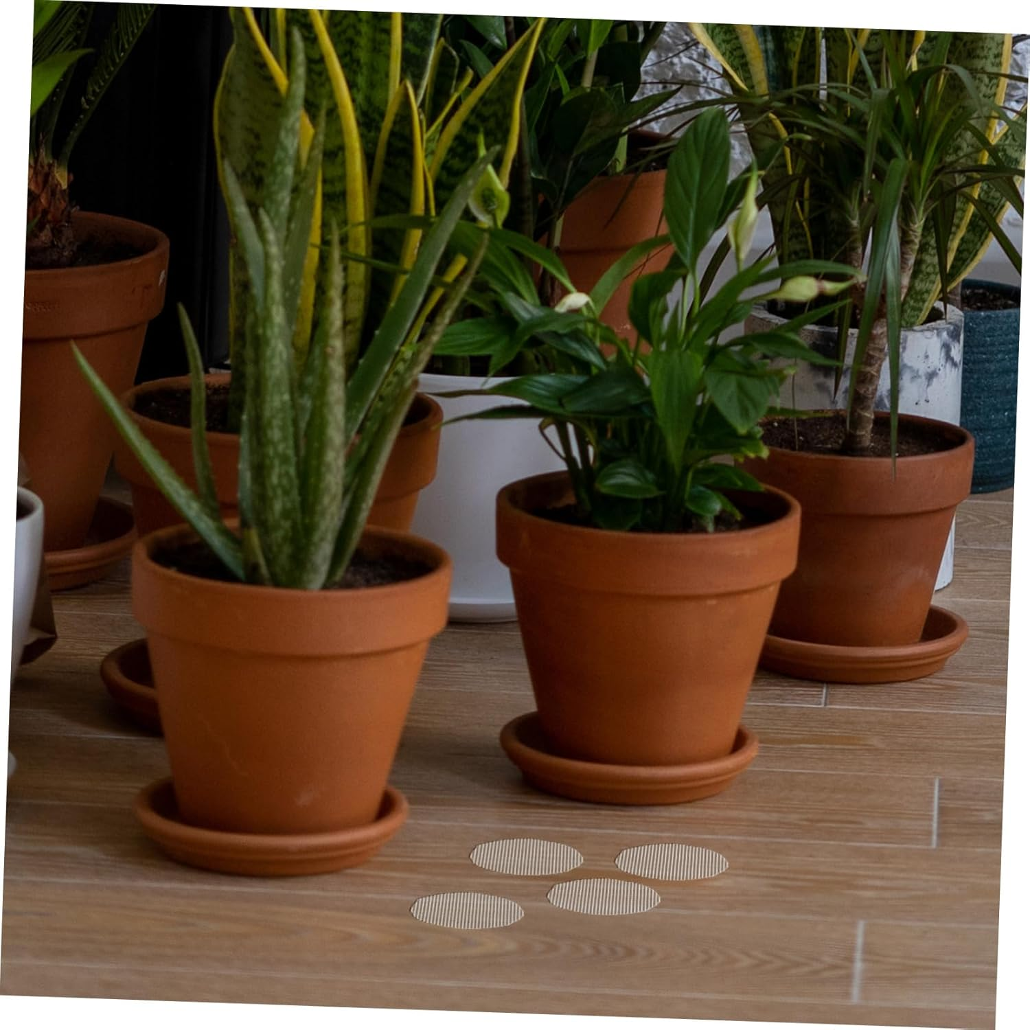 BEBEMOKO 20Pcs Screen Mesh Drainage Gasket for Plant Pots Indoor Outdoor Pot Hole Mesh Pads for Gardening Accessory image number 4