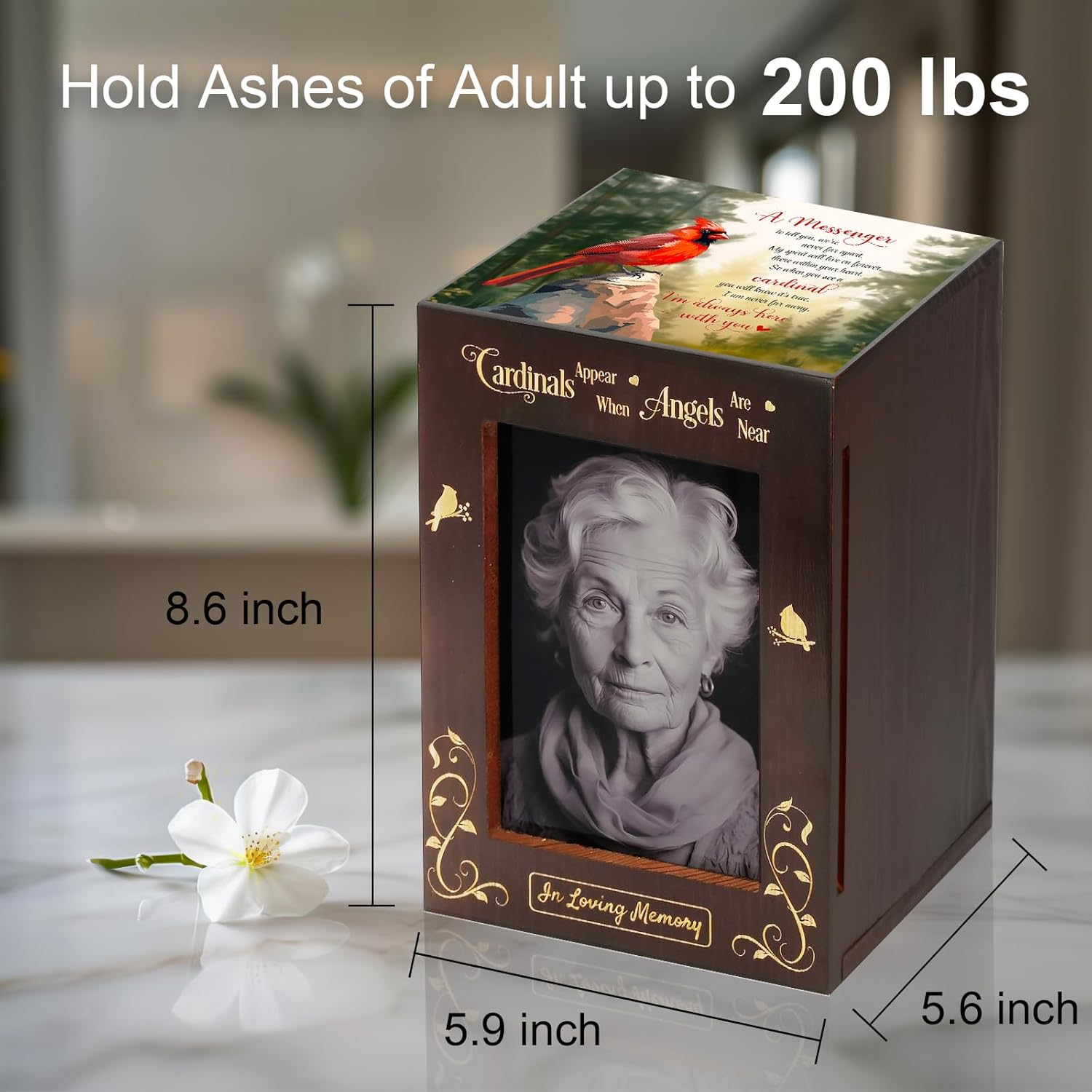 Wooden Cremation Urns with Photo Frame for Human Ashes Adult Female Male, Wood Urns Box and Casket, Funeral Decorative Urn with Picture for Adults up to 200 Lbs (Large, Cardinal) - Hummingbird image number 2