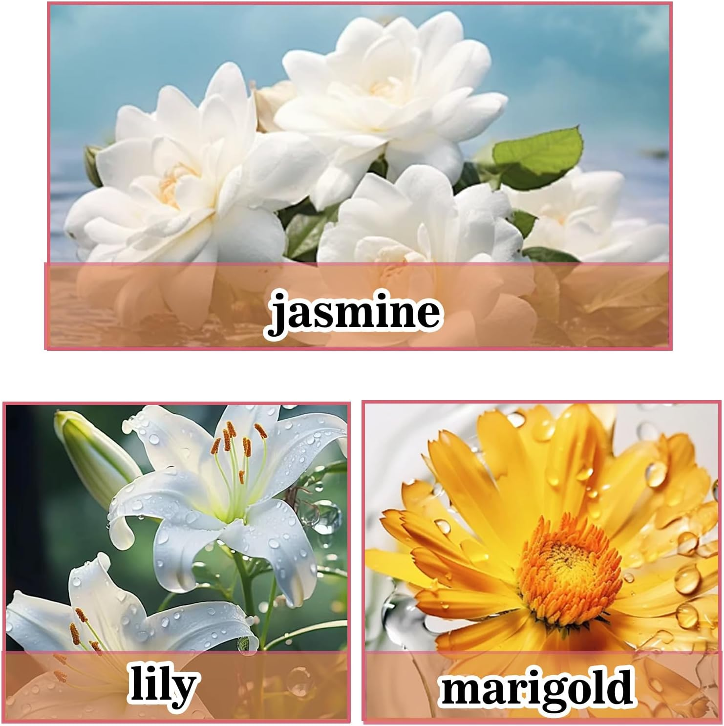 Pheromone Perfume Oil for Women,Roll on Infused Essential Oil Perfumes,Enhanced Scents Pheromone Perfume (Jasmine Lily) image number 4