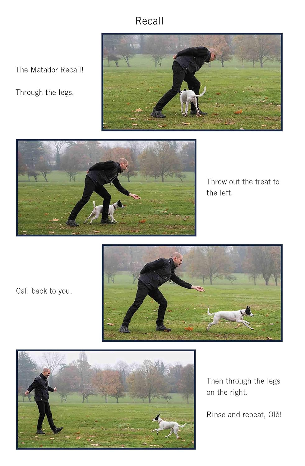 Easy Peasy Puppy Squeezy: Your Simple Step-By-Step Guide to Raising and Training a Happy Puppy image number 2