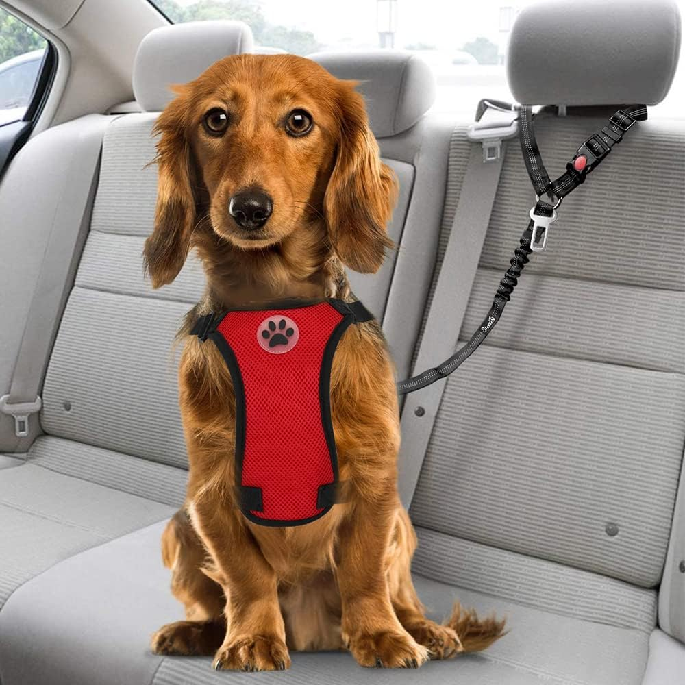 Slowton 2 in 1 Dog Seatbelts for Cars, 2 Pack Pet Car Seat Belt Headrest Restraint Puppy Safety Adjustable Dog Car with Anti-Shock Elastic Bungee Buffer for Vehicles(Black, 2 Pack) image number 2