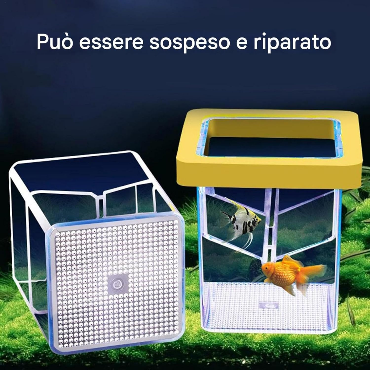 Ccuzs Fish Breeder Box, Aquarium Hatchery Incubator, Transparent Design Easy Installation Fish Nursery, Suction Cup Isolation Container for Aquatic Pets, 4.33X3.39X3.39 Inches image number 4