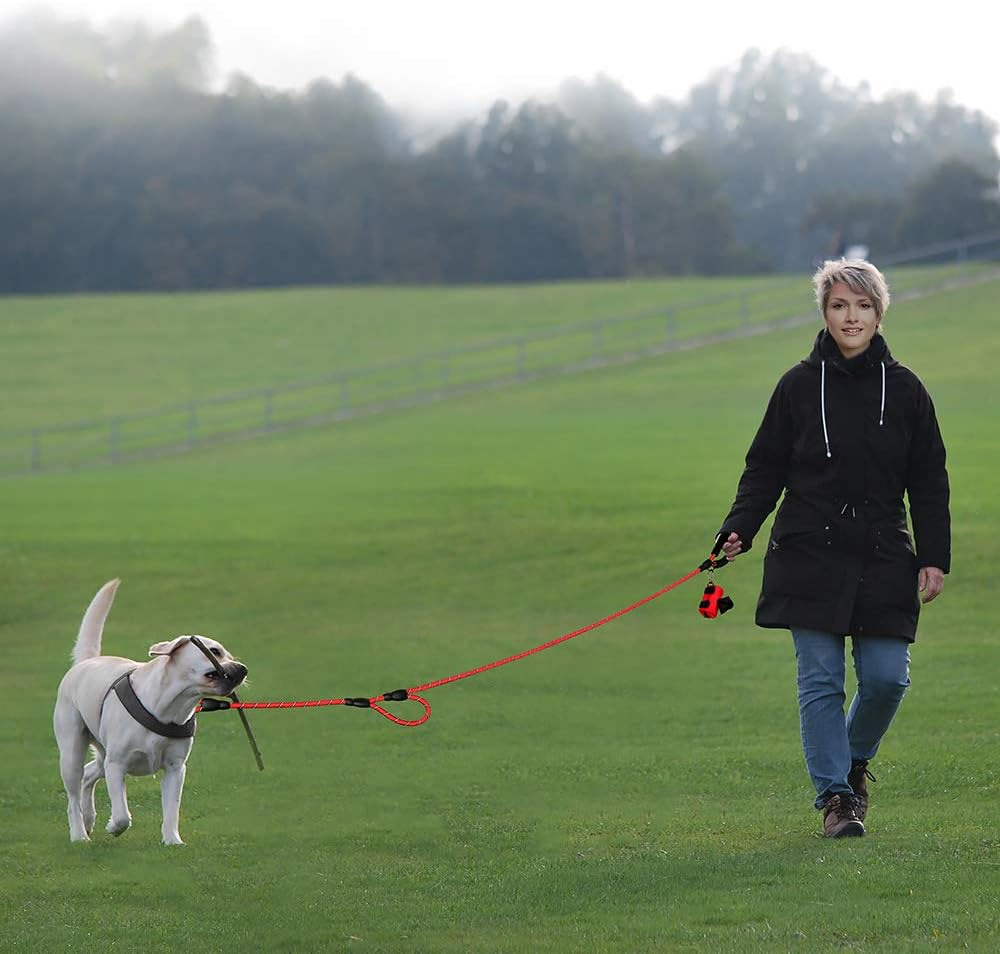 Plutue Pet Rope Dog Leash 6Ft Long,Traffic Padded Two Handle,Heavy Duty,Reflective Double Handles Lead for Control Safety Training,Leashes for Large Dogs or Medium Dogs,Dual Handles Leads(Red) image number 1