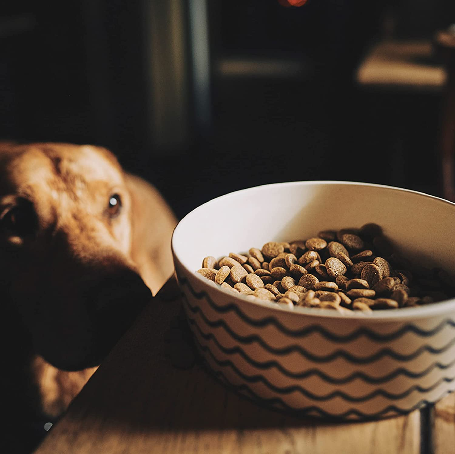 Beco Printed Bamboo Food and Water Dog Bowl Waves Large image number 6