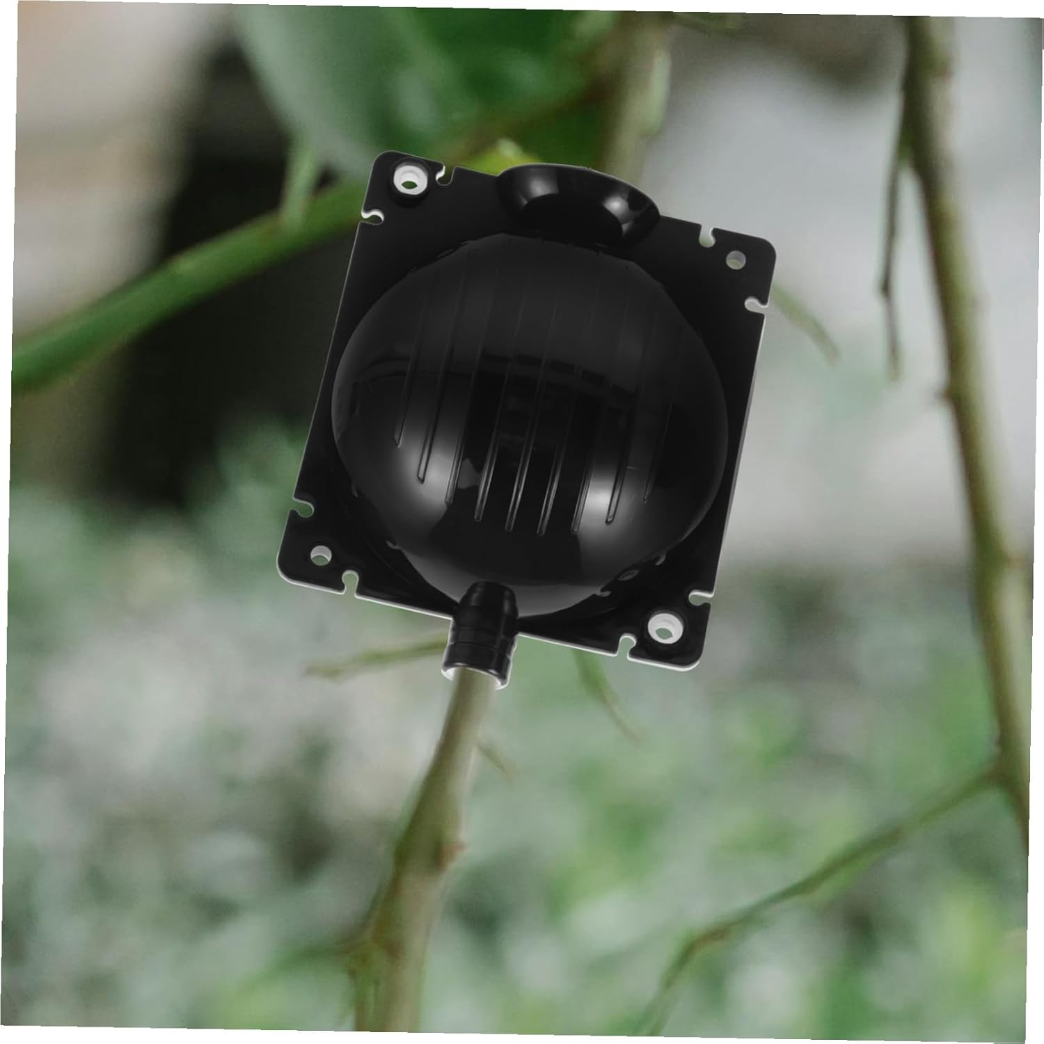 YARNOW 10Pcs Plastic Plant Rooting Boxes High Pressure Propagation Balls Grafting Root Growing Devices for Garden and Indoor Use Sturdy Structure image number 2