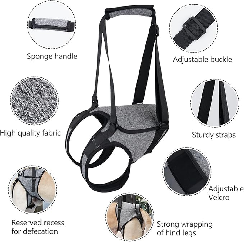 SOVYOULIVE Adjustable Dog Lift Harness Dog Sling for Large Dogs Hind Leg Support Soft Lift Support and Rehab Harness for Weak Rear Legs (L) image number 1