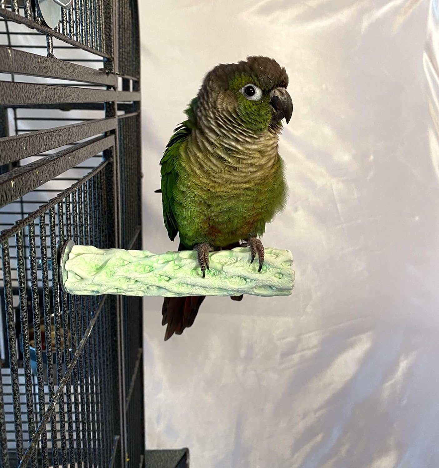 Tooty Fruity Bee Pollen Small Lime image number 5