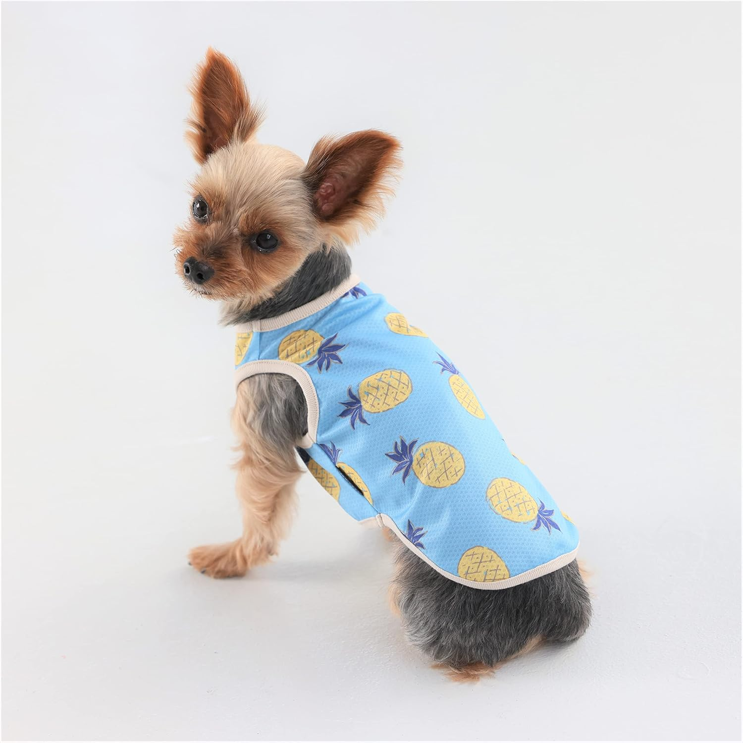 Dog Life Bug Guard Fruit Tank Blue Dog Small image number 2