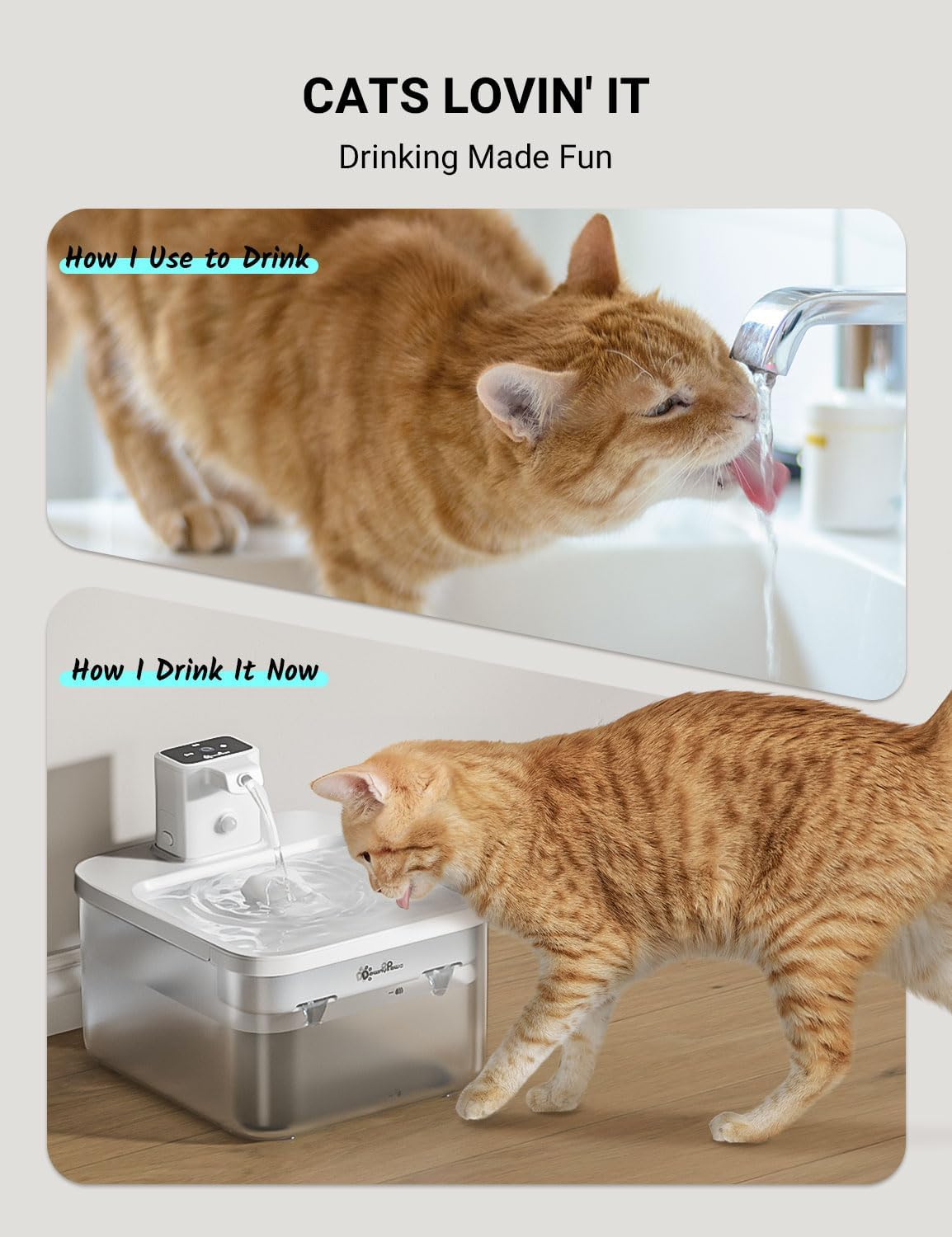 Downypaws Drinking Fountain for Cat Wireless Filter Pack of 6 for DPWFP6 image number 2