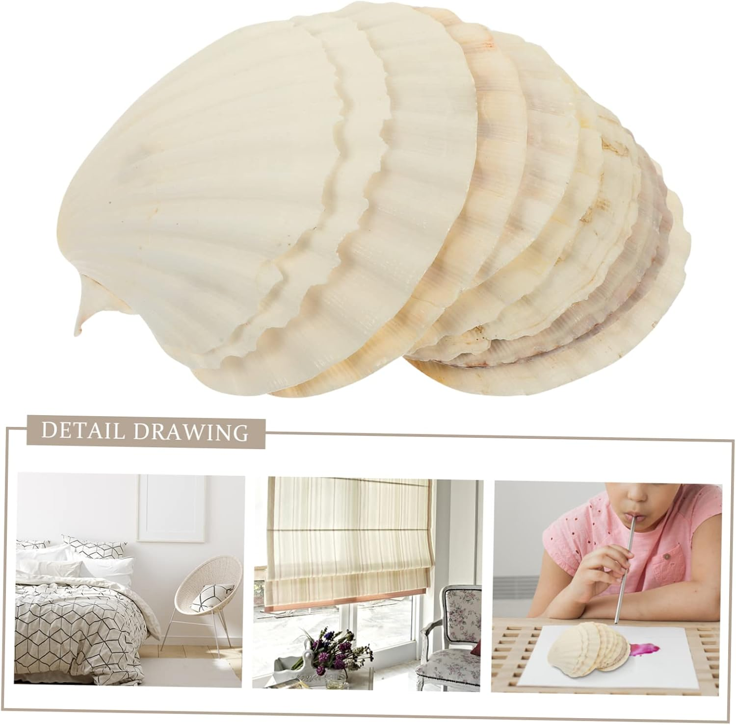 GARIOUANS Natural White Scallop Shells DIY Crafts 10Pcs 9-12Cm Natural Seashells Aquarium Fish Tank Decoration Landscaping Ornament for Aquatic Pets image number 3