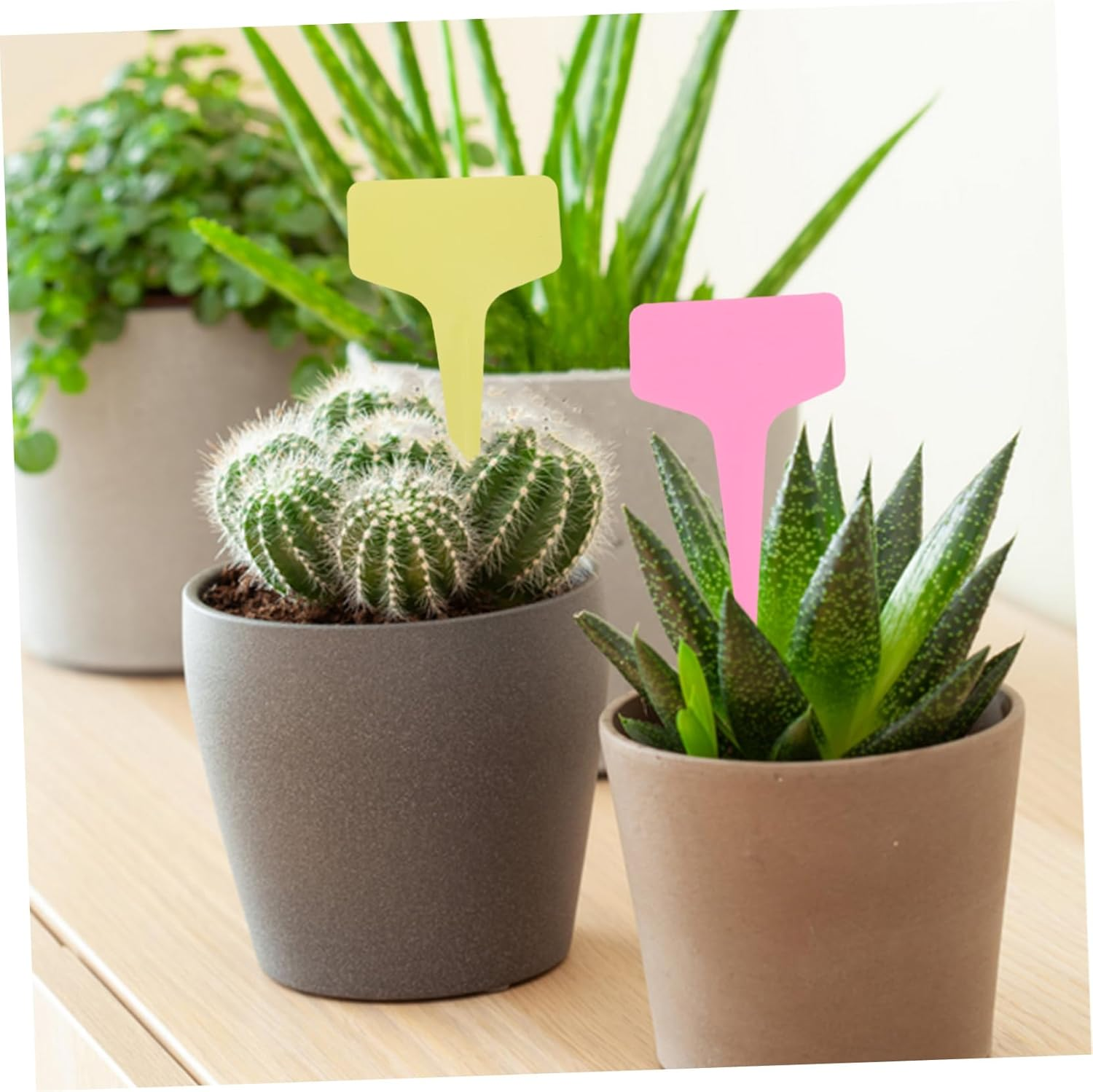 BEBEMOKO 100Pcs Shaped Plant Labels for Garden Nursery Tags for Easy Plant Identification Outdoor and Indoor Herb Flower Vegetable Gardening image number 2