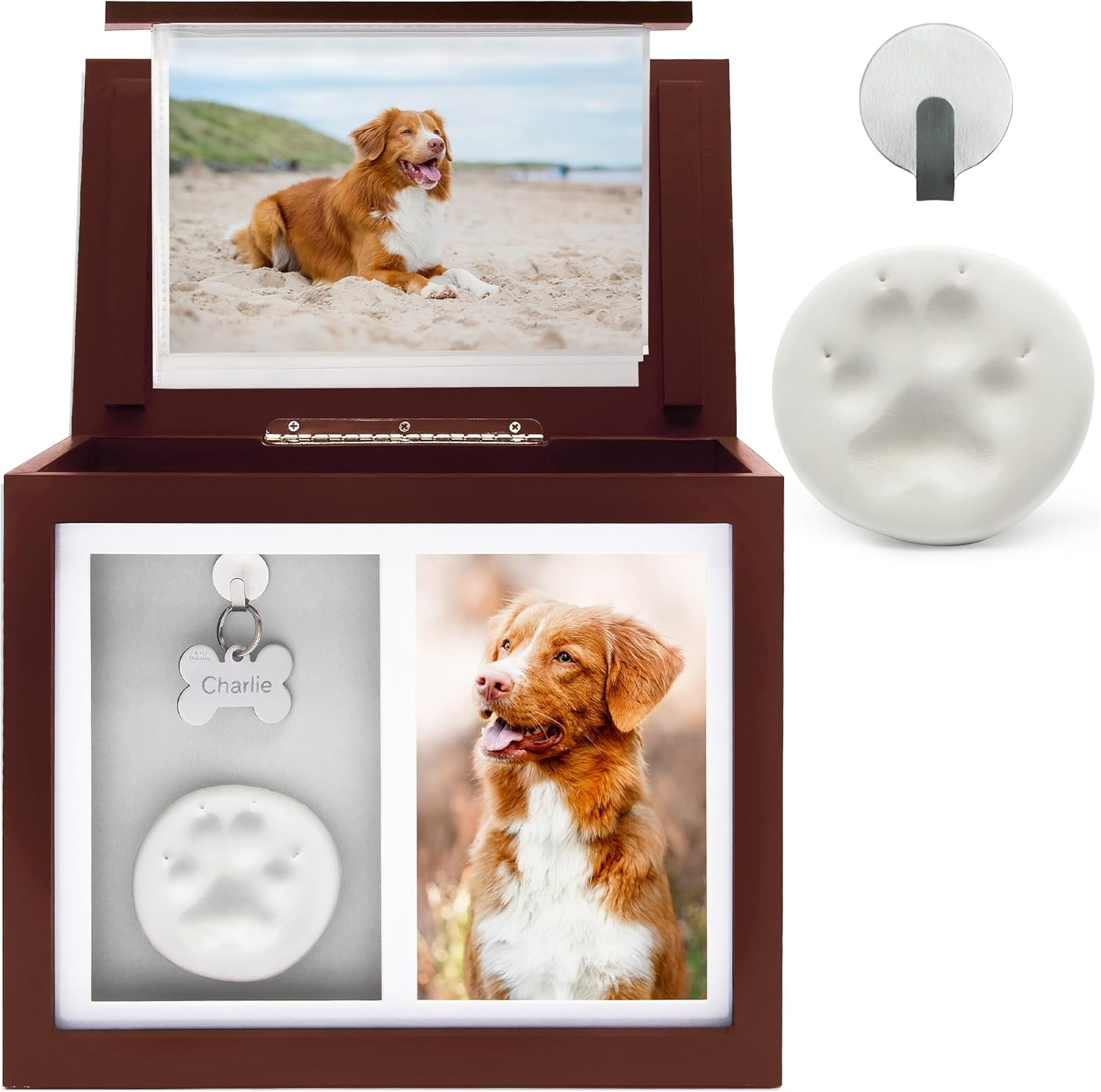 Chasing Tails Premium White Pet Urn - Large Memorial Dog Ashes for Keepsake, Urns for Dogs or Cats, Pet Urns for Memorial - with Paw Print and Photo Album