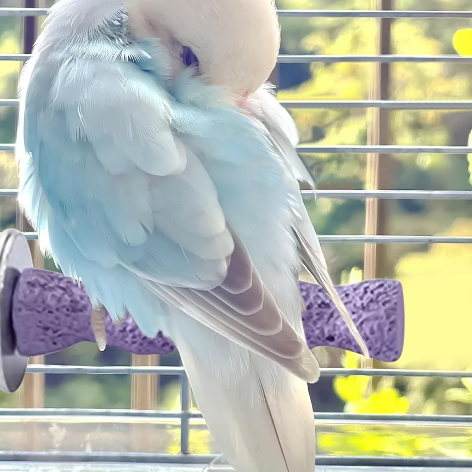 Birdcage Perch | Birdcage Stand - Toy Exercise Cage Stick Nail Sharpener Outdoor Training Cockatiel Button Parrot image number 5