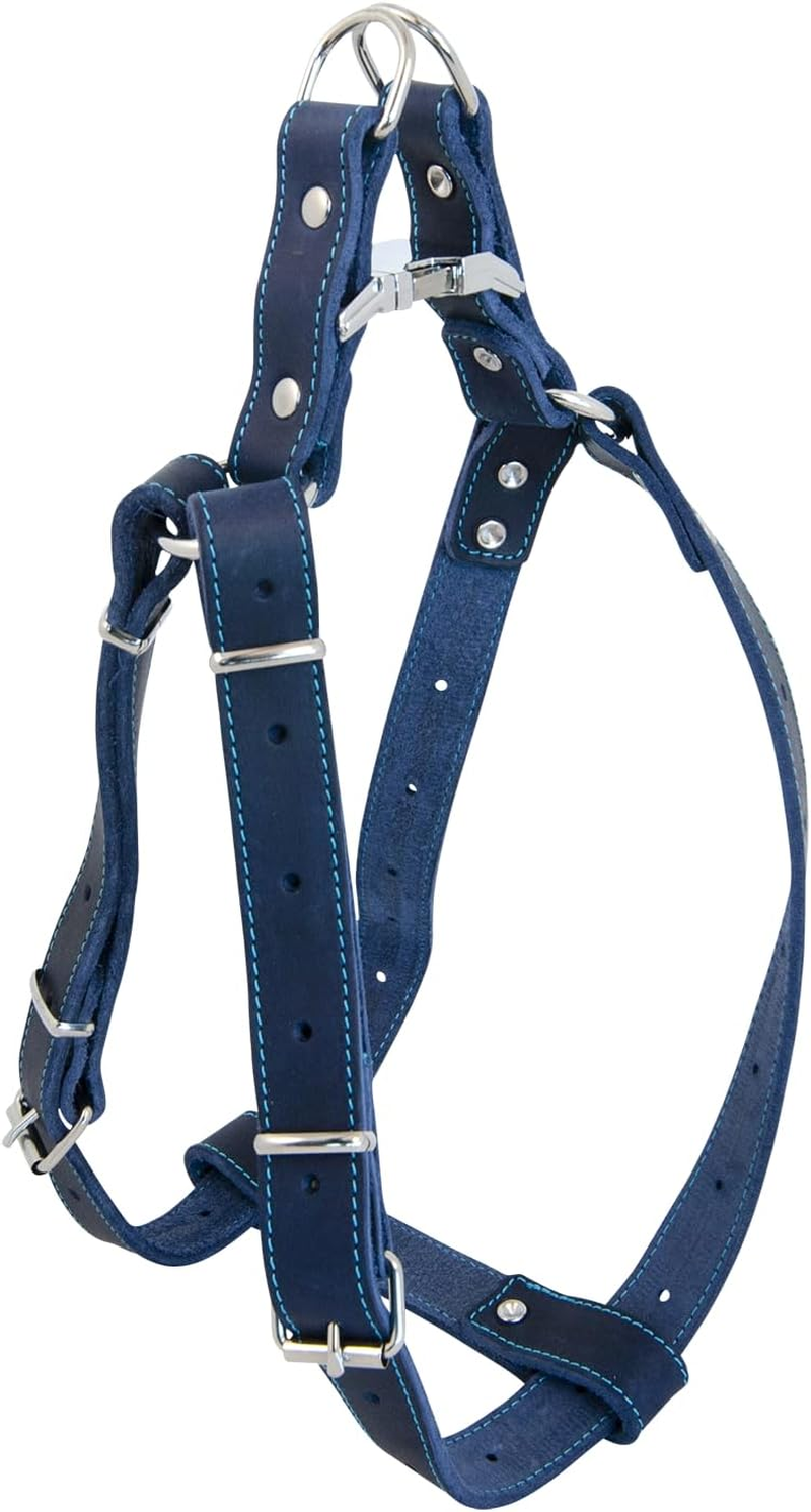 Jack and Vanilla, Greased Leather Cat Harness with Lead Included, Comfortable Fit and Stylish Design, Ideal for Walking, Size 10Mm, Black, Leather Pattern