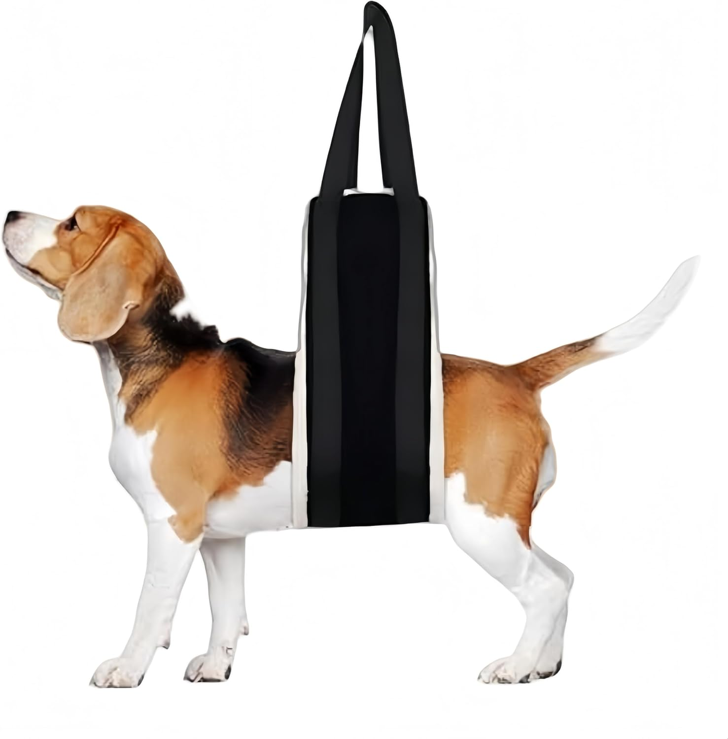 RJDJDLXM30-120 Lbs Dog Sling for Large Dogs Hind Leg Support,Dog Lift Harness for Back Legs,Helps Elderly Pet with Reduced Mobility, for Walking Canine Arthritis Rehabilitation (Black) image number 5