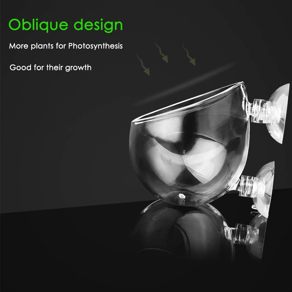 Capetsma 2X Crystal Glass Aquatic Plant Pot, Aquarium Aquatic Planter, Red Shrimp Live Plants Fish Tank Glass Holder with 4X Suction Cups for Aquarium Aquascape Decoration