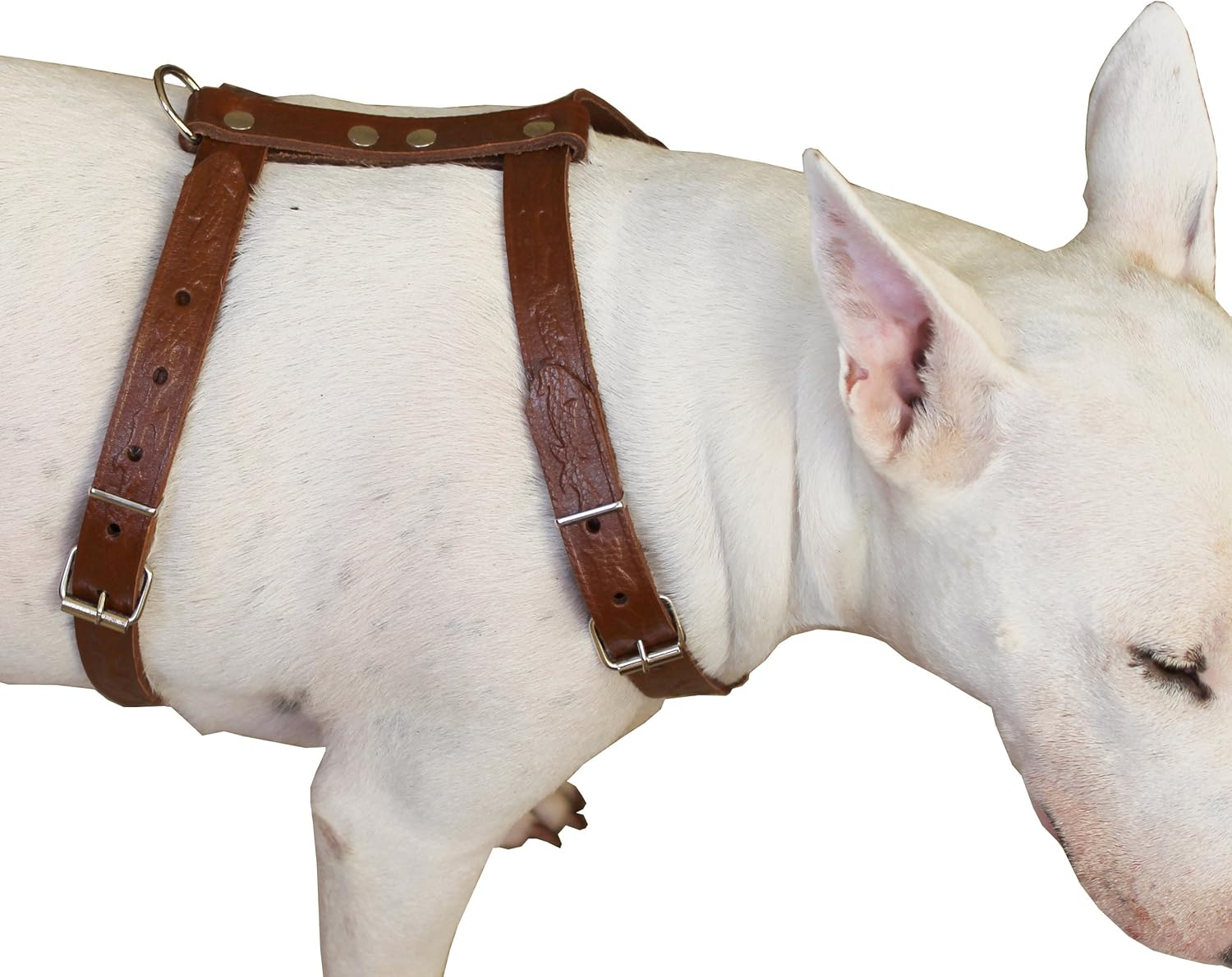 Genuine Tooled Leather Dog Harness Medium. 22"-30" Chest, 3/4" Wide Straps, Boston Terrier image number 3