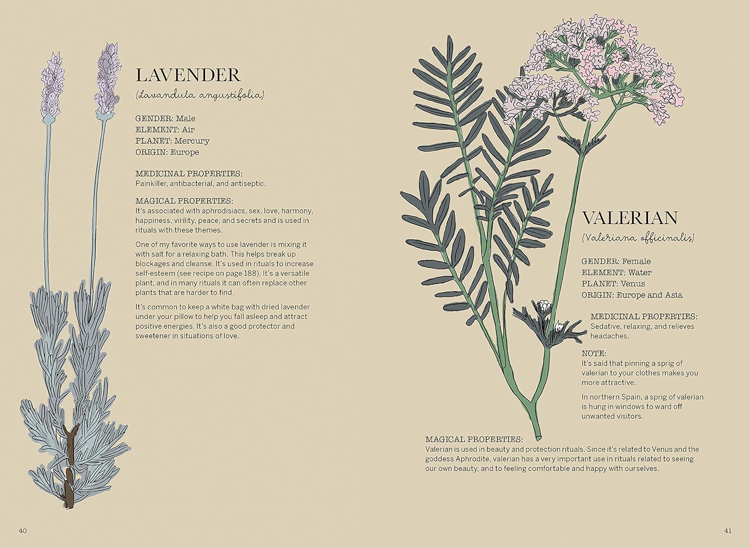 Magicka: Finding Spiritual Guidance through Plants, Herbs, Crystals, and More image number 5