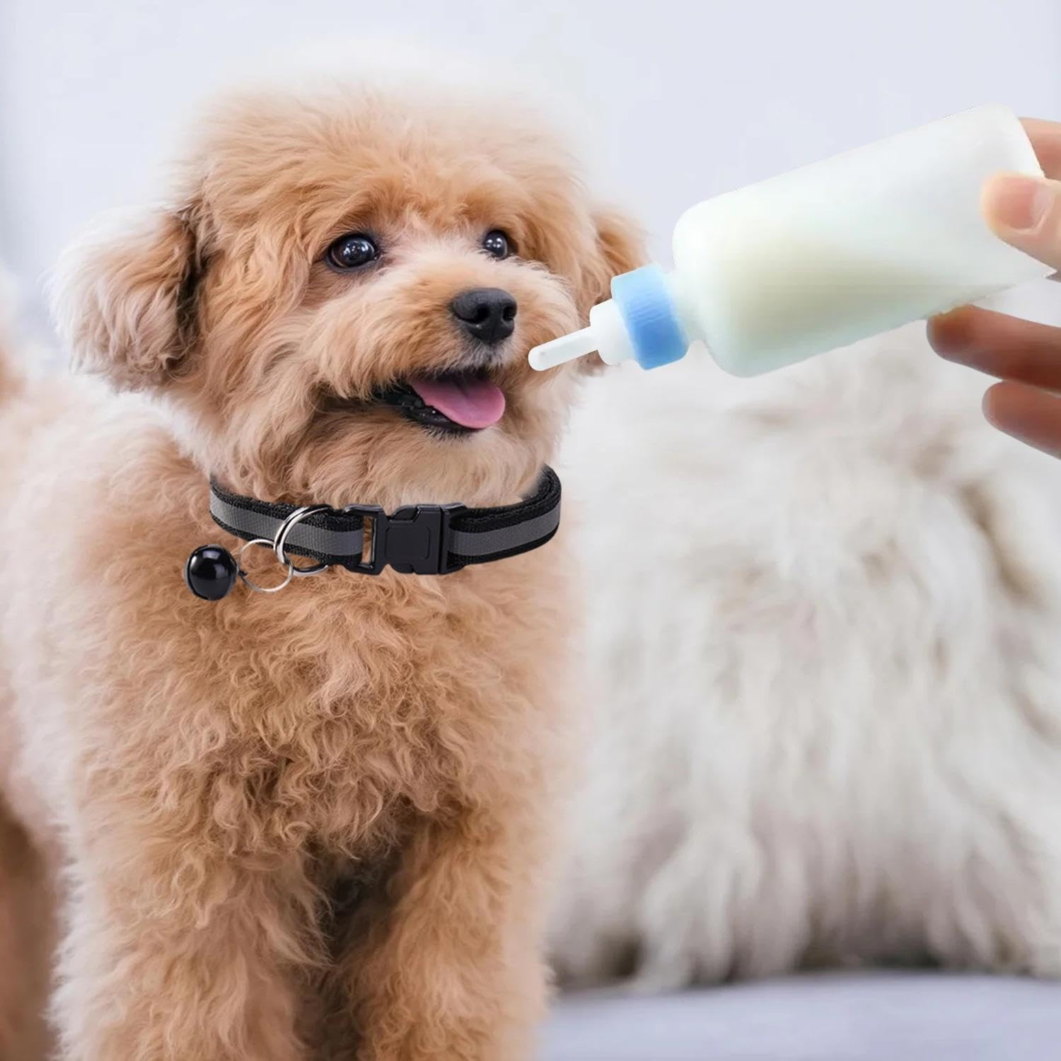 GTYHH 1 Piece Cat and Dog Bladder, 1 Piece Collar, Pet Thickness, Cat Milk Food, Pet Neck Decoration, Pet Supplies image number 3