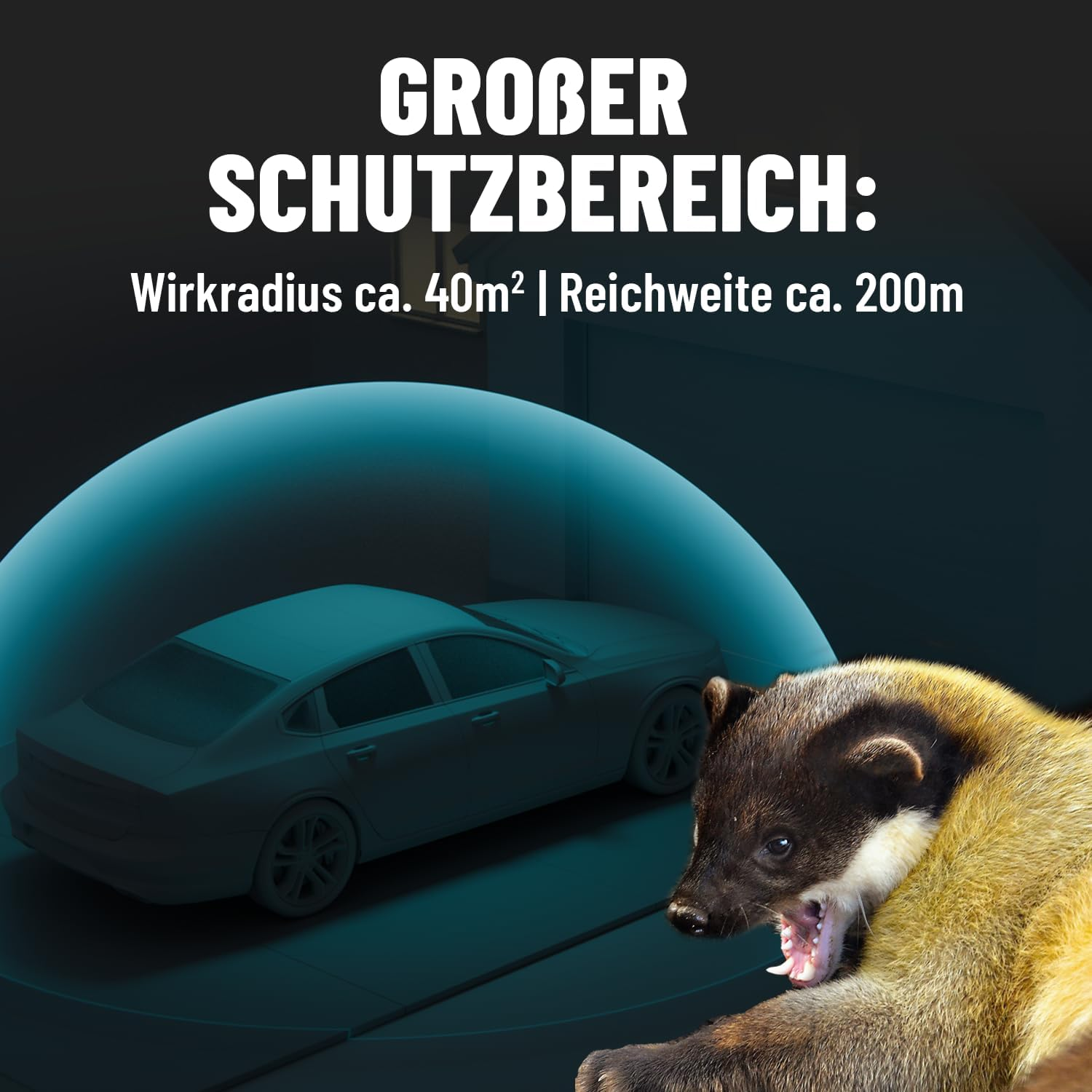 Greate. 3 X Marten Deterrent Car with 12 V Battery Connection &ndash; Marten Deterrent Car for Engine Compartment &ndash; Mader Repellent, Marten Protection for Car, Marten Repellent Car, Marten Ultrasound image number 1