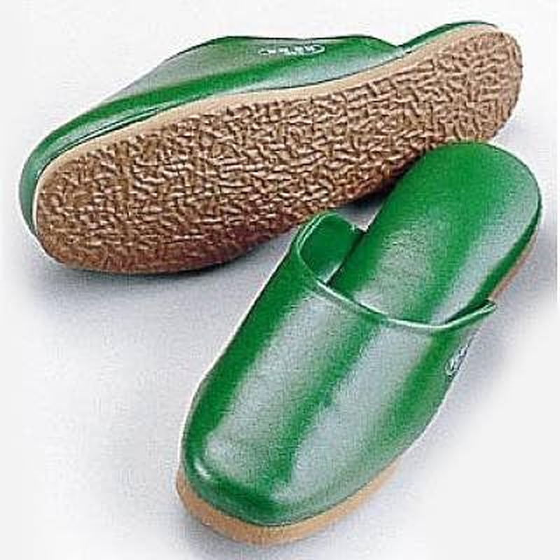 Endoshoji SSK-5202 Professional Antibacterial Slippers, Medium, Green, Anlin PVC, Bottom EVA Sponge, Made in Japan