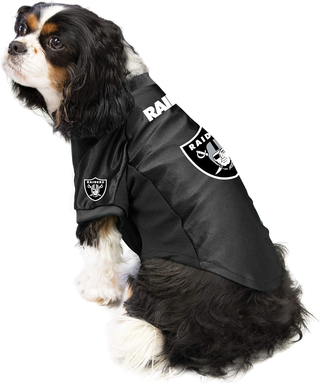 Littlearth NFL Las Vegas Raiders Unisex Pet Stretch Jersey, Team Color, L image number 4
