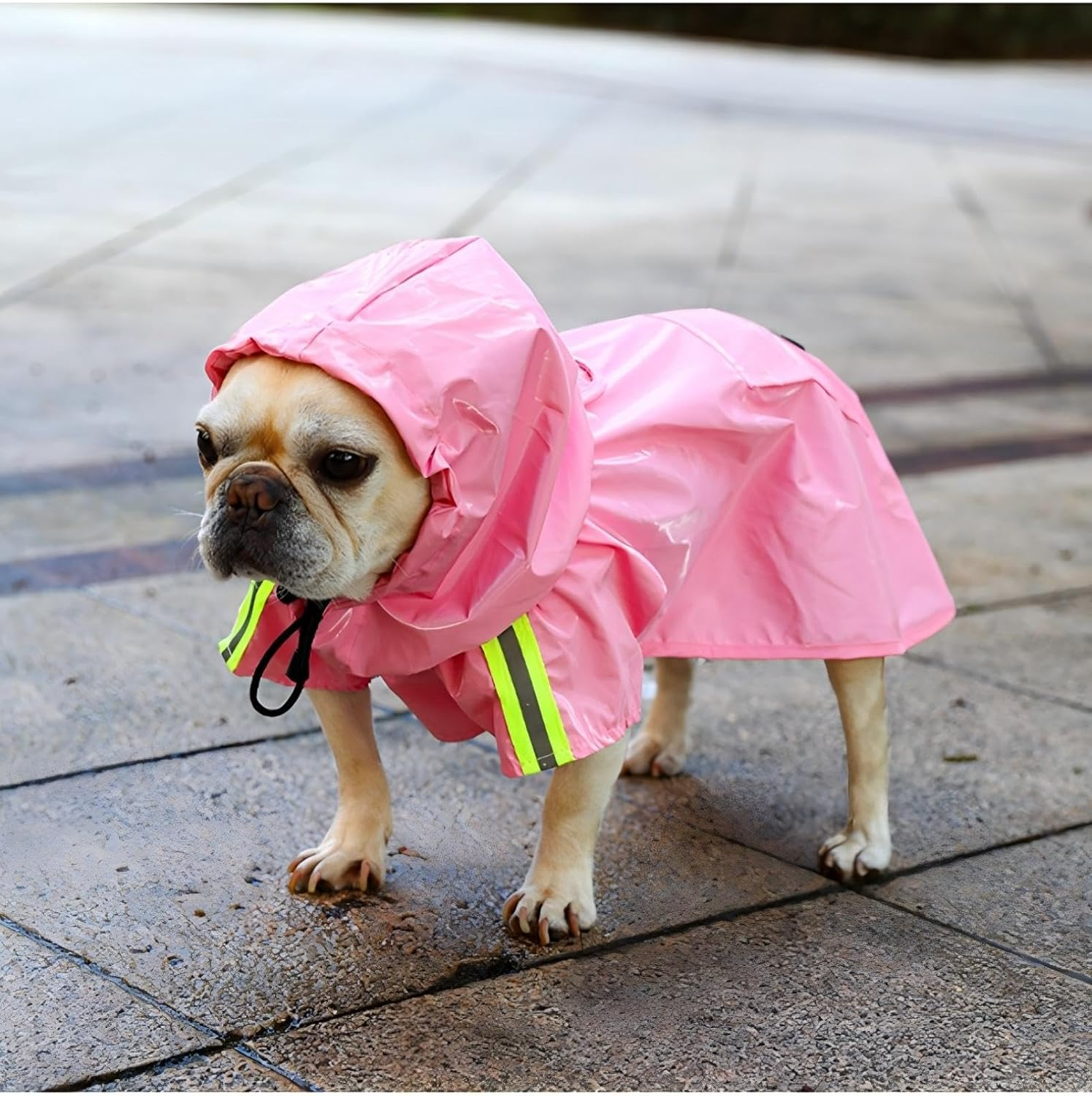 Dog Raincoat Hooded Proof Rain Clothes with Reflective Strip, Portable Pocket on Back, Leash Hole, Fits Small Pets Puppy Cats to 4XL Large Dogs (2XL) image number 1